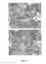 Fig. 06 - SINGLE-WALLED CARBON NANOTUBE CATALYSTS AND METHODS FOR PREPARING SAME