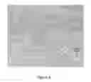 Fig. 07 - SINGLE-WALLED CARBON NANOTUBE CATALYSTS AND METHODS FOR PREPARING SAME