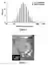Fig. 02 - Integrin targeted imaging agents