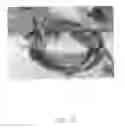 Fig. 02 - Polymer coatings containing phytochemical agents and methods for making and using same