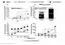 Fig. 09 - Maintenance and propagation of mesenchymal stem cells