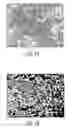 Fig. 02 - Methods and systems for extended in vitro culture of neuronal cells