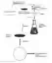 Fig. 01 - Proliferated cell lines and uses thereof