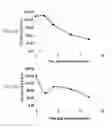 Fig. 06 - Proliferated cell lines and uses thereof
