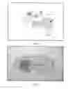 Fig. 08 - Proliferated cell lines and uses thereof