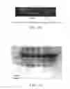 Fig. 22 - Proliferated cell lines and uses thereof