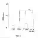 Fig. 09 - METHOD FOR INDUCING NEURAL DIFFERENTIATION