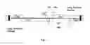 Fig. 02 - Immunogenic composition based on conditionally live virion and method for producing the same