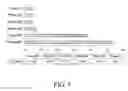 Fig. 06 - Peptide useful in immunomodulation