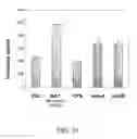 Fig. 13 - Peptide useful in immunomodulation