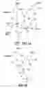 Fig. 02 - Modified polymerases and attenuated viruses and methods of use thereof
