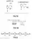 Fig. 09 - Modified polymerases and attenuated viruses and methods of use thereof