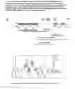 Fig. 02 - Recombinant flavivirus vaccines