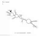 Fig. 05 - Recombinant flavivirus vaccines