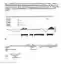 Fig. 06 - Recombinant flavivirus vaccines