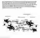 Fig. 07 - Recombinant flavivirus vaccines