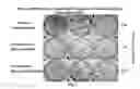 Fig. 02 - Methods and compositions for increasing replication capacity of an influenza virus
