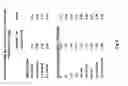 Fig. 04 - Methods and compositions for increasing replication capacity of an influenza virus