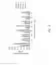 Fig. 10 - Vaccine