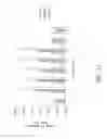 Fig. 13 - Vaccine