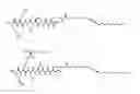 Fig. 01 - Self-assembling peptide amphiphiles