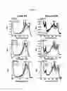 Fig. 06 - Self-assembling peptide amphiphiles