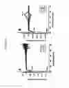 Fig. 07 - Self-assembling peptide amphiphiles