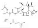 Fig. 01 - Nanostructure-Drug Conjugates