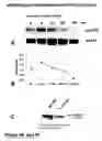 Fig. 55 - Methods of treating neurological conditions with hematopoeitic growth factors