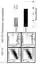 Fig. 70 - Methods of treating neurological conditions with hematopoeitic growth factors