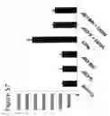 Fig. 75 - Methods of treating neurological conditions with hematopoeitic growth factors