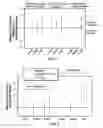 Fig. 02 - Methods for slowing the progression of multiple sclerosis