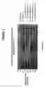 Fig. 02 - Food preservation compositions and methods of use thereof