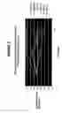 Fig. 06 - Food preservation compositions and methods of use thereof