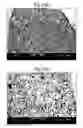 Fig. 02 - Aerated compositions