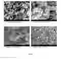 Fig. 07 - METHOD FOR PREPARING UNIFORM SINGLE WALLED CARBON NANOTUBES