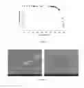 Fig. 08 - METHOD FOR PREPARING UNIFORM SINGLE WALLED CARBON NANOTUBES