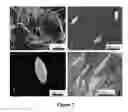 Fig. 04 - ASYMMETRIC NANOPARTICLES FROM POLYMER NANOSPHERES