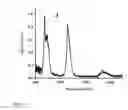 Fig. 09 - FUNCTIONALIZED LANTHANIDE RICH NANOPARTICLES AND USE THEREOF