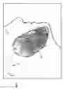 Fig. 08 - Pattern transferable to skin for optical measurements during shaving