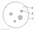 Fig. 01 - Toner for developing a latent image and an image forming method employing the same