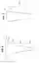 Fig. 04 - ENDODONTIC ROTARY INSTRUMENTS FOR PREPARING ROOT CANAL SPACES