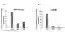 Fig. 01 - Method of reducing cell death by administering a Sfrp polypeptide