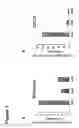 Fig. 02 - Method of reducing cell death by administering a Sfrp polypeptide