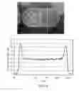 Fig. 11 - Multifunctional encoded particles for high-throughput analysis