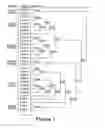 Fig. 02 - Multiplex PCR for the detection of AmpC beta-lactamase genes