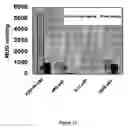 Fig. 35 - MEMBRANE BOUND REPORTER GENE SYSTEM