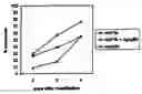 Fig. 01 - Apoptin-associating proteins