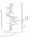 Fig. 31 - Gene regulator