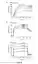 Fig. 09 - Trimeric collagen scaffold antibodies